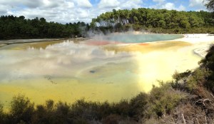 Wai-O-Tapu Thermal Wonderland (1)